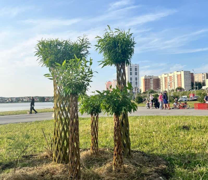 На набережной Первоуральска высадили ивы: в городе прошла акция по благоустройству