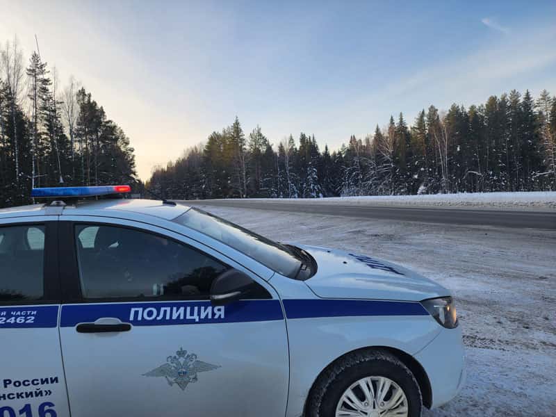 Рейд в Первоуральске: проверили родителей — кто возит детей без кресел