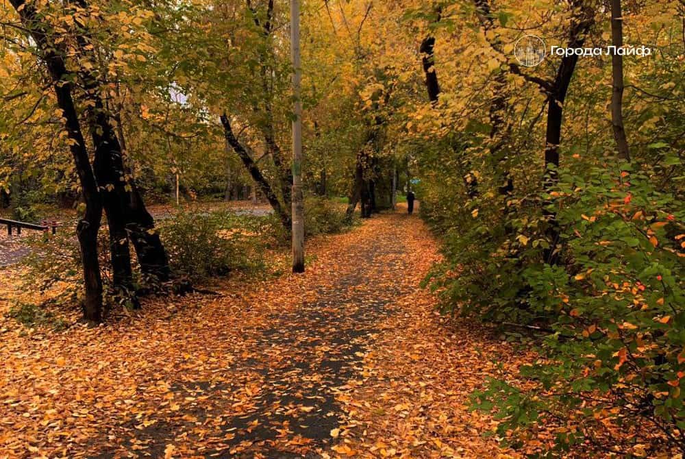 На Урале после заморозков придёт потепление: синоптики обещают до +8 градусов