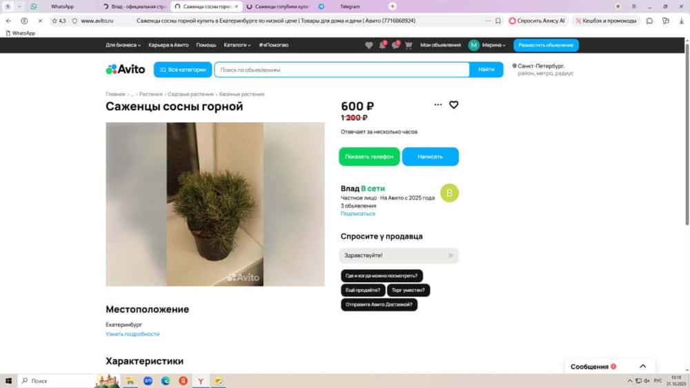 Молодой человек на Avito продавал саженцы ЖК в Екатеринбурге: схема