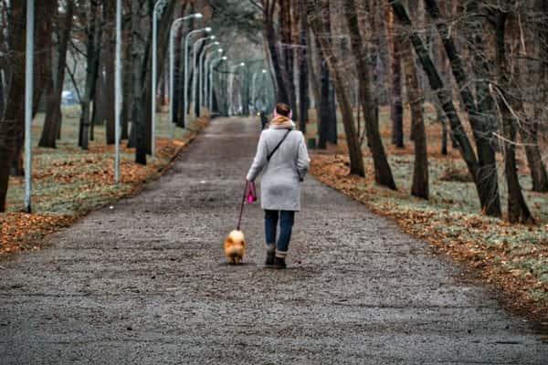 Кандидат медицинских наук рассказал самый быстрый способ снижение стресса