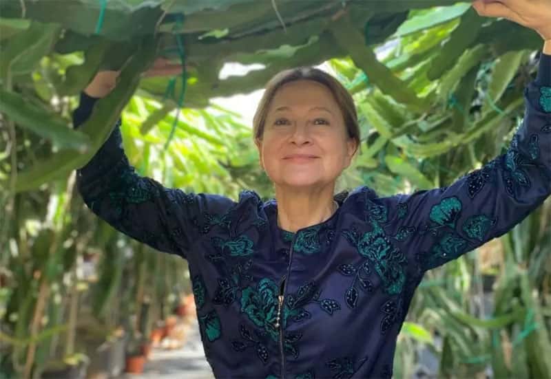 Тамара Глоба рассказала, какие знаки зодиака ждут финансовые испытания в 2026 году