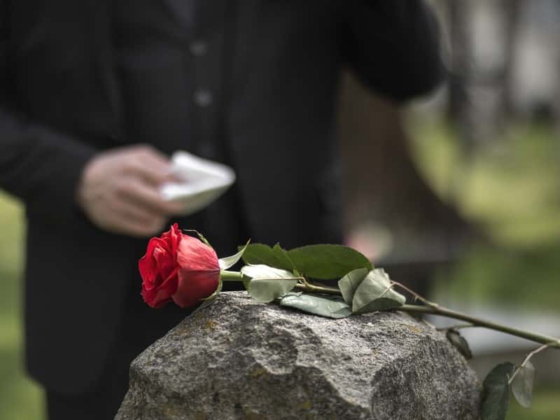 Министр культуры РФ оценила вклад Николая Коляды в развитие драматургии