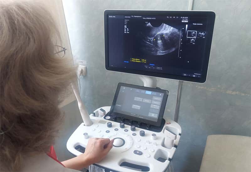 Почти 9 тысяч вопросов о полисе и страховой: что волнует свердловчан в 2026 году