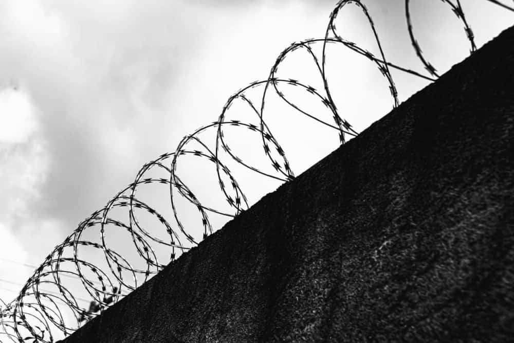 Проделал дыру в заборе и на попутках доехал до соседнего города: побег ради любви