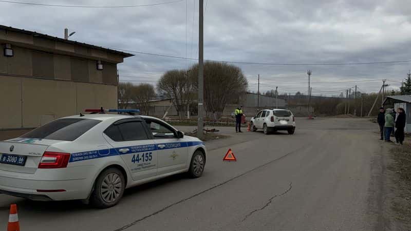 Водитель с 39 штрафами сбила девочку на велосипеде: стаж 13 лет, но затормозить не успела