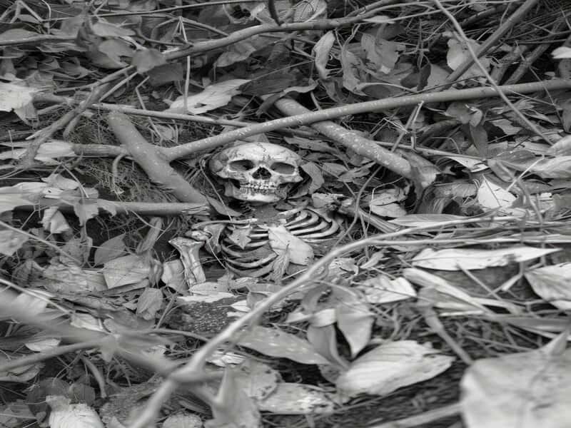 Боялись, что встанет из могилы: средневековое захоронение шокировало ученых