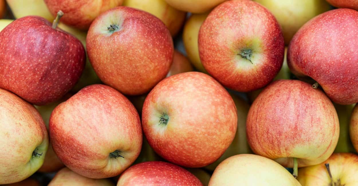 Перестала гадать, почему сосед собирает ведра яблок, а у меня шаром покати — всё дело в обрезке