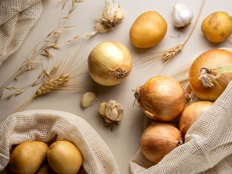 1 ложка в лунку — и луковицы вырастают крупнее кулака: секретное средство, которое есть в каждом доме