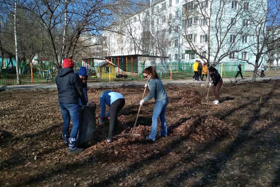 Субботник — только по желанию: эксперт напомнил статью Трудового кодекса, которая защищает от принуждения
