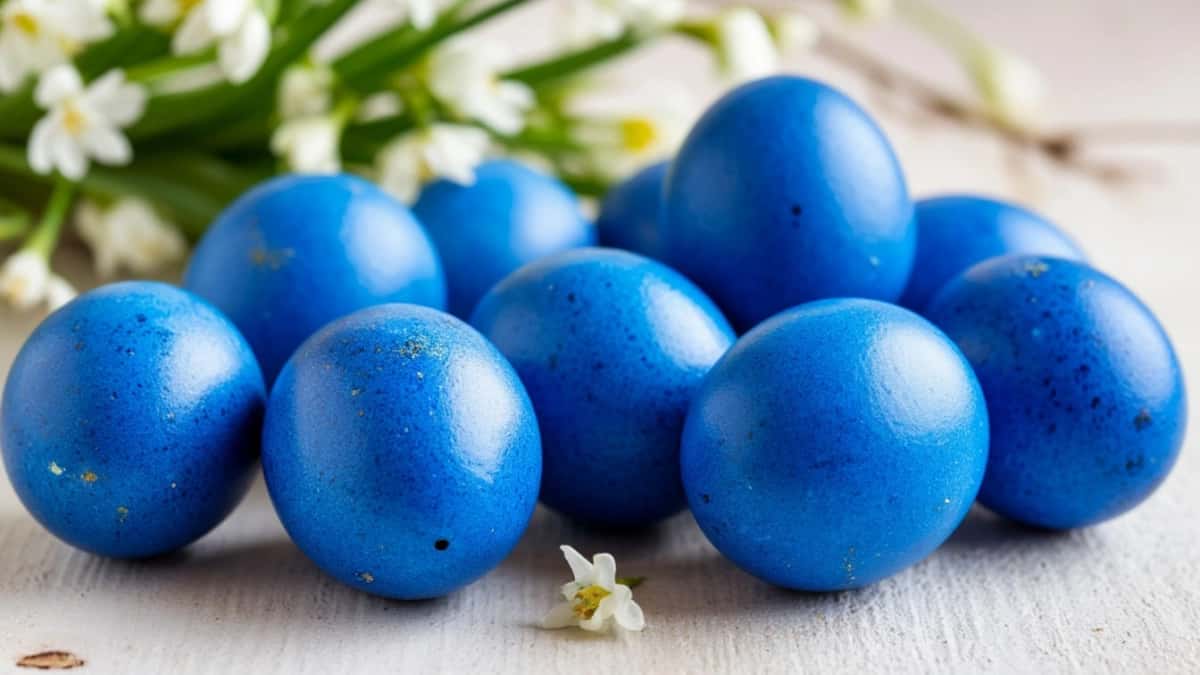 Почему мои пасхальные яйца синие и блестят, а у соседки бледно-фиолетовые? Всё дело в уксусе и масле