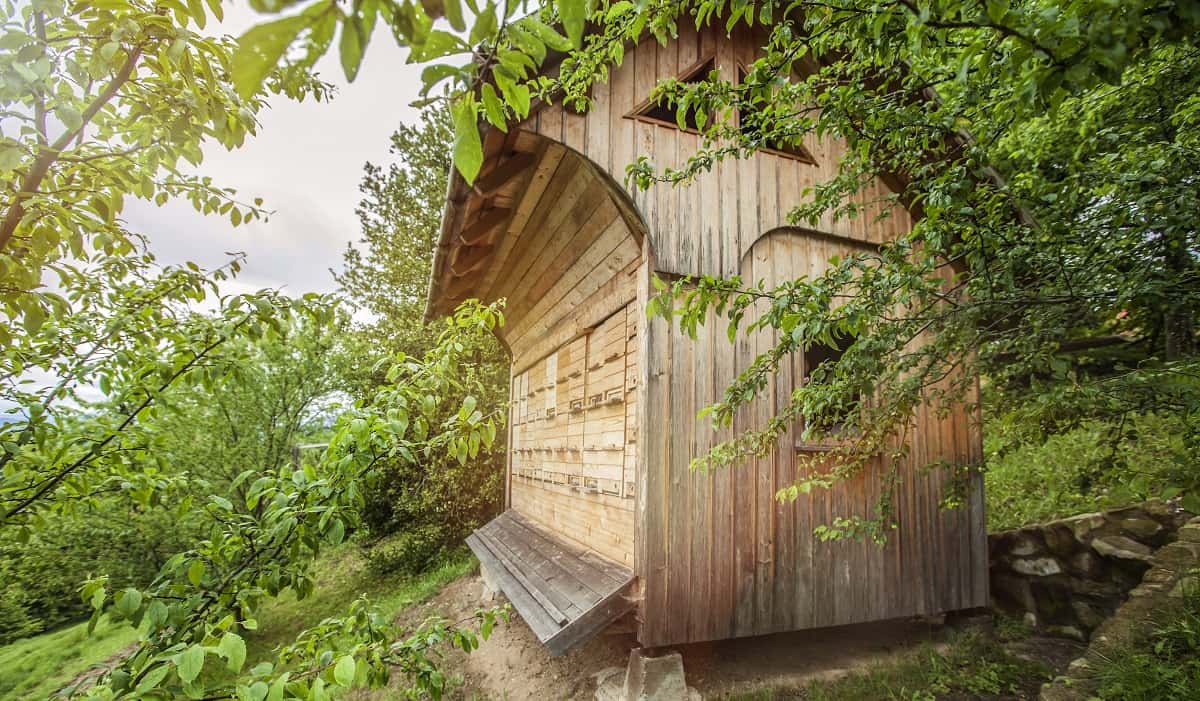 Дачный туалет на улице стоит красавцем и не воняет: 10 отличных идей обустройства, которые так просто повторить