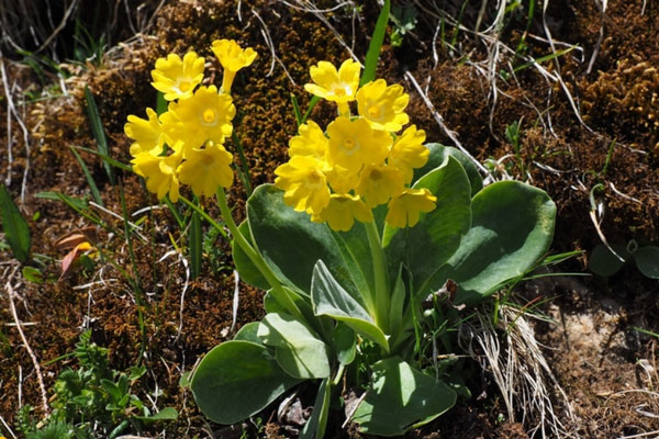 В марте жители Свердловской области отдохнут три дня подряд с 7 по 9 марта | Трёхдневные выходные в Свердловской области с 7 по 9 марта 2026 года В марте жители Свердловской области отдохнут три дня подряд с 7 по 9 марта | Трёхдневные выходные в Свердловской области с 7 по 9 марта 2026 года