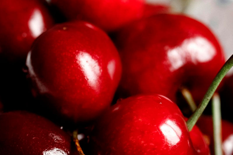 Ешьте больше черешни летом: врач перечислила полезные свойства данной ягоды | Эксперт Хайкина: черешня положительно влияет на гормональный фон, сердце и сосуды Ешьте больше черешни летом: врач перечислила полезные свойства данной ягоды | Эксперт Хайкина: черешня положительно влияет на гормональный фон, сердце и сосуды