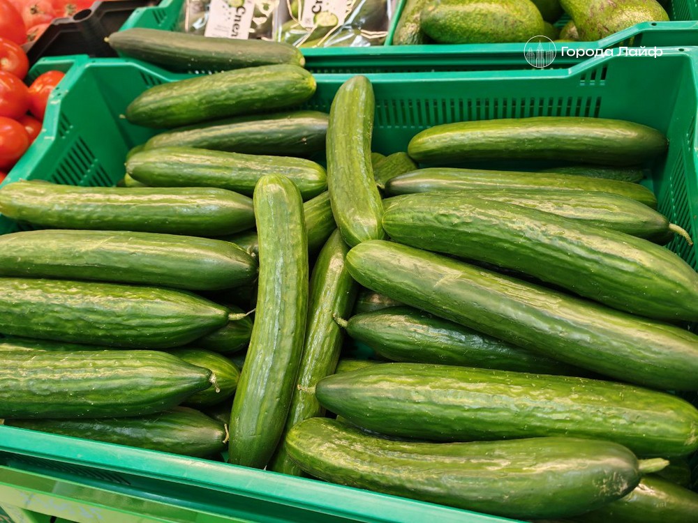 Больше никаких кривых огурцов: секрет идеального урожая из собственного семенника