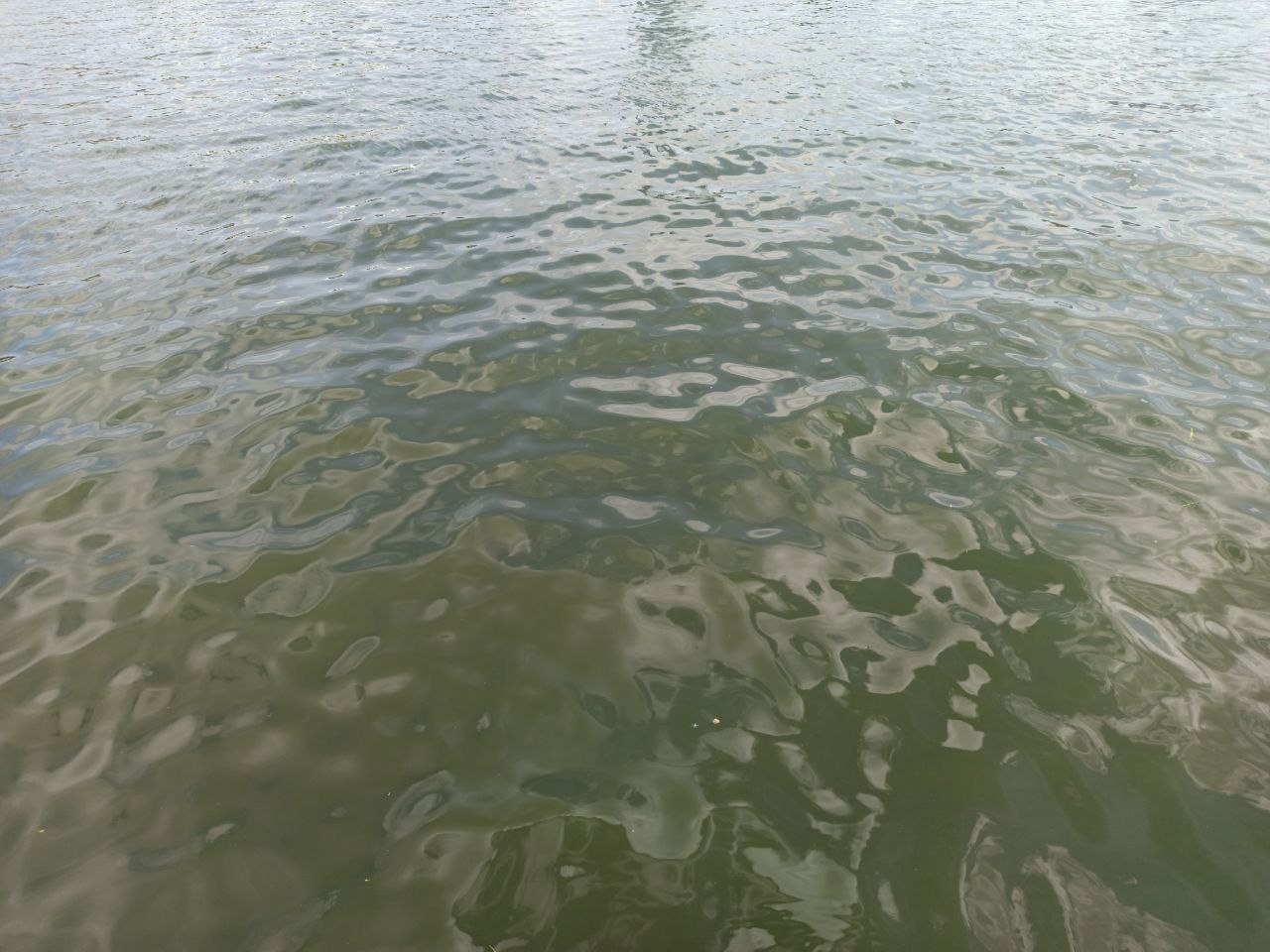 На Урале утонул ещё один ребёнок На Урале утонул ещё один ребёнок