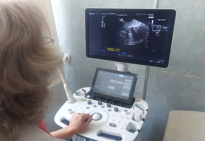 В Свердловской области пары с бесплодием пройдут углублённое генетическое исследование | Проректор УГМУ Оксана Мелкозерова рассказала о проекте «Репродуктивная генетика» В Свердловской области пары с бесплодием пройдут углублённое генетическое исследование | Проректор УГМУ Оксана Мелкозерова рассказала о проекте «Репродуктивная генетика»