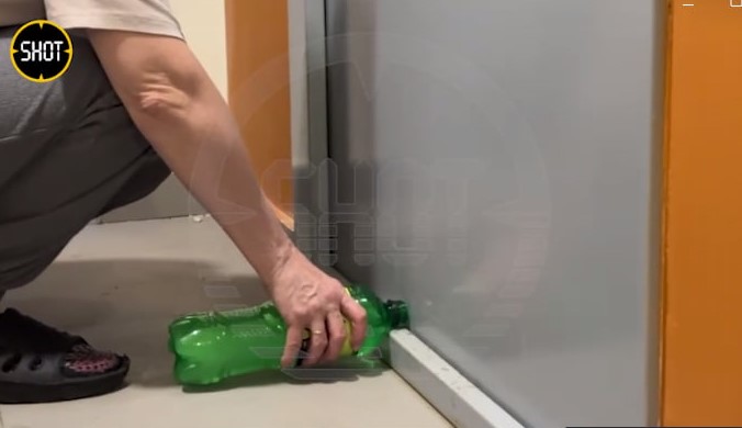 В Подмосковье собаку на несколько дней оставили одну в квартире 