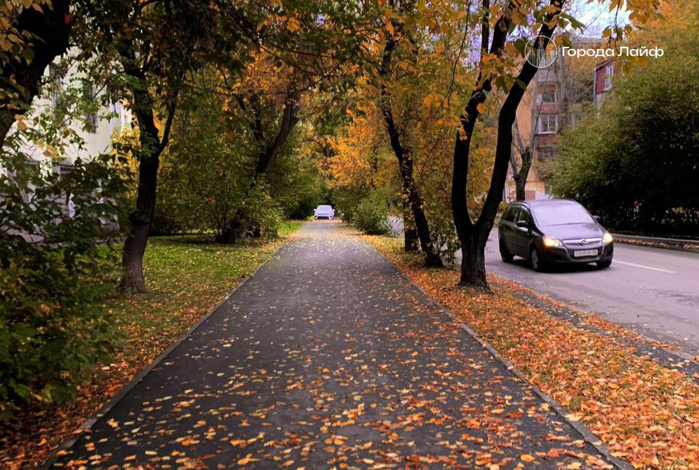 Алексей Пулин рассказал, когда в Екатеринбурге закончится период сухой погоды | Температура и осадки в Свердловской области на 5–12 октября 2025