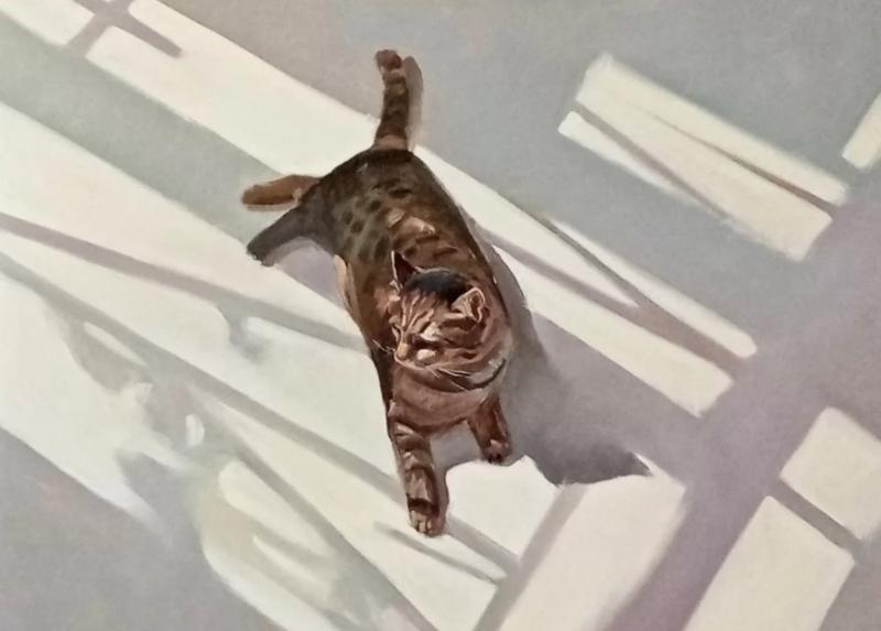 Выставка с котиками и театральные представления: куда можно сходить в Первоуральске 3 и 4 мая | Куда сходить в Первоуральске на выходных: подборка событий Выставка с котиками и театральные представления: куда можно сходить в Первоуральске 3 и 4 мая | Куда сходить в Первоуральске на выходных: подборка событий