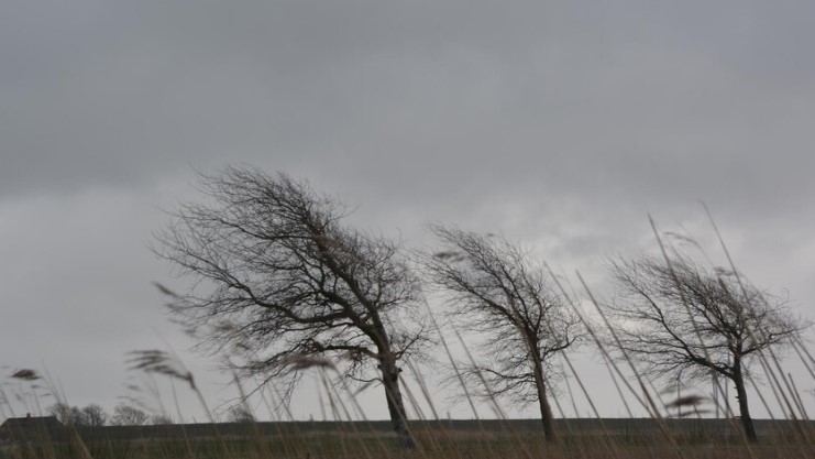 МЧС предупреждает: штормовой ветер и дождь надвигаются на Свердловскую область | МЧС Свердловской области объявило штормовое предупреждение 3 мая МЧС предупреждает: штормовой ветер и дождь надвигаются на Свердловскую область | МЧС Свердловской области объявило штормовое предупреждение 3 мая