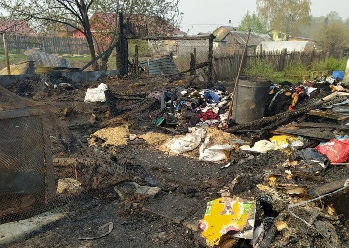 Задохнулись 30 собак-инвалидов: в Билимбае сгорел приют для животных