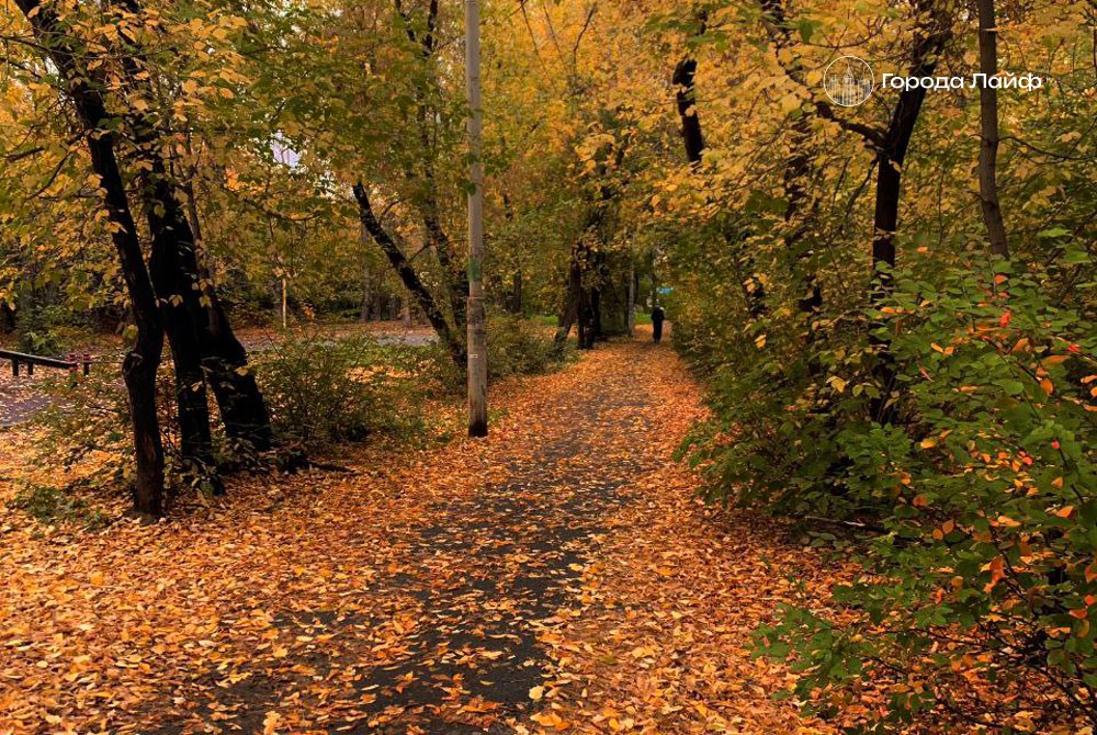 На Урале после заморозков придёт потепление: синоптики обещают до +8 градусов | В Свердловской области ожидается заметный дневной прогрев На Урале после заморозков придёт потепление: синоптики обещают до +8 градусов | В Свердловской области ожидается заметный дневной прогрев