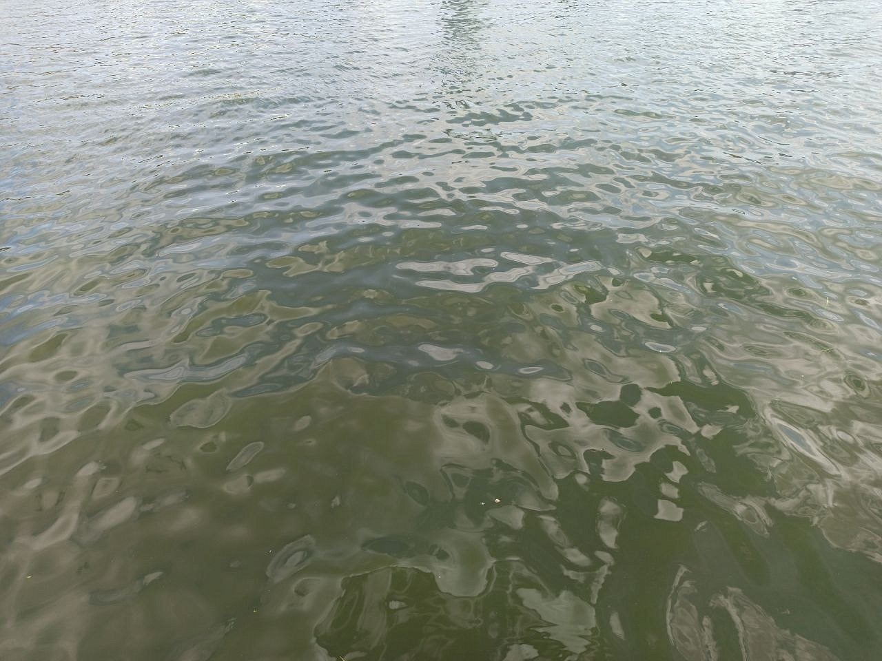 В Свердловской области на водоёмах погибли уже 13 человек В Свердловской области на водоёмах погибли уже 13 человек