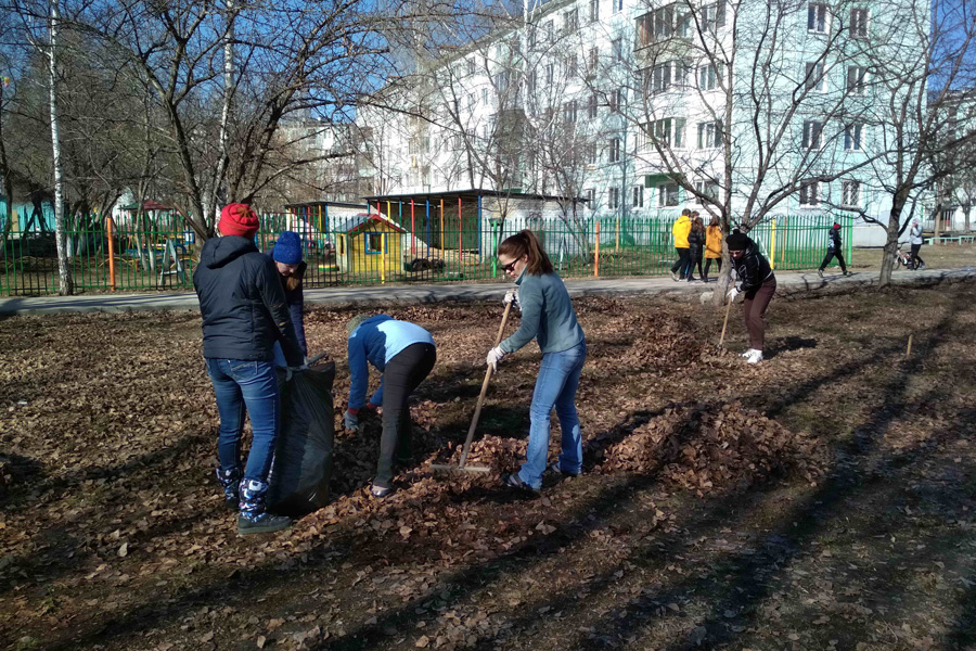 Субботник — только по желанию: эксперт напомнил статью Трудового кодекса, которая защищает от принуждения