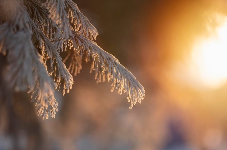 Через Свердловскую область пройдет теплый атмосферный фронт | Синоптик Пулин: к Уралу подойдет частный циклон «Heiko»