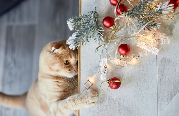 Три недели мучился с кошкой по ночам, пока 1 вечерняя игра не решила всё за 3 дня