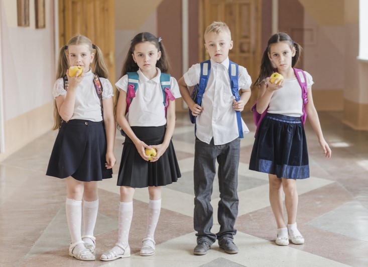 Фенолы в школьной форме: 12 брендов под ударом после проверки Роскачества | Токсичные брюки в школьной форме: 12 брендов под ударом