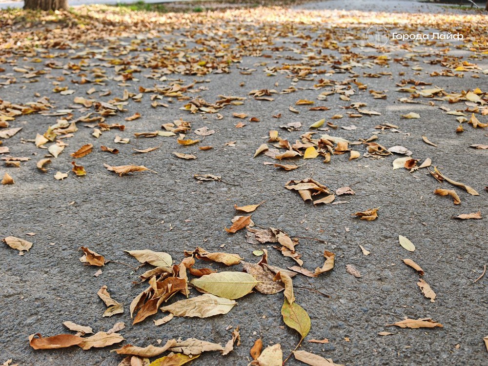 Погода в Первоуральске на 20 октября: когда ждать похолодания и каким будет световой день | Синоптики рассказали о погоде в Первоуральске на 20 октября Погода в Первоуральске на 20 октября: когда ждать похолодания и каким будет световой день | Синоптики рассказали о погоде в Первоуральске на 20 октября