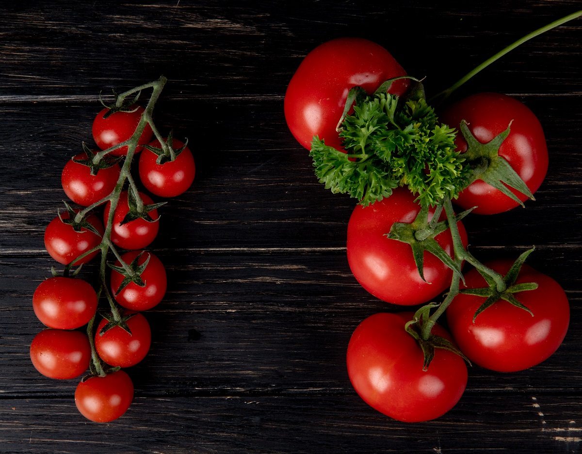 Я сразу кладу в лунку 2 ложки этого порошка: рассада помидоров уходит в рост за 1 неделю