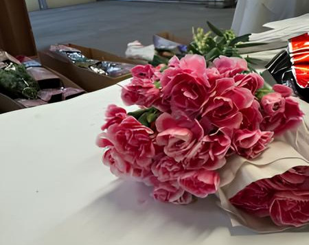 Свердловские таможенники пресекли ввоз 400 гвоздик из Эквадора с карантинным вредителем | В свердловском аэропорту Кольцово уничтожили 400 гвоздик с карантинным вредителем