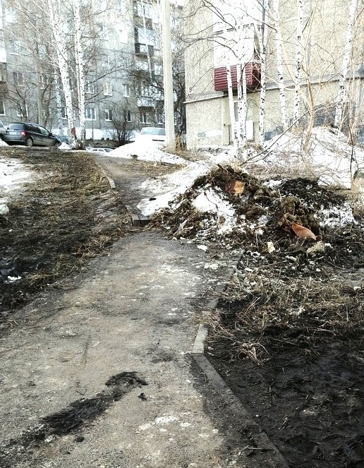 Проблема благоустройства в Первоуральске: жители требуют восстановления участка возле школы №4 | Жители Первокуральска требуют восстановления участка возле школы №4 Проблема благоустройства в Первоуральске: жители требуют восстановления участка возле школы №4 | Жители Первокуральска требуют восстановления участка возле школы №4