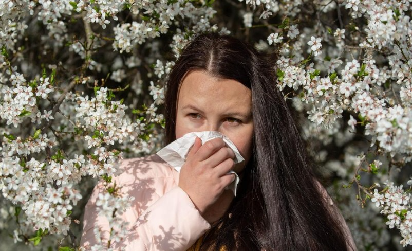 Специалист Пироговского университета дал советы по борьбе с аллергией на пыльцу | Эксперт рассказал, как справиться с аллергией от тополя в весенний период 