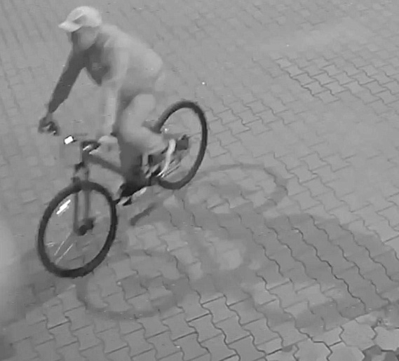 Полиграф подтвердил причастность 34-летнего жителя Каменска-Уральского к краже телефона погибшей Даны 