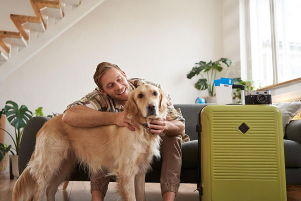 Почему собаки пьют из унитаза и чем это грозит: инфекционист бьет тревогу — вы рискуете здоровьем питомца