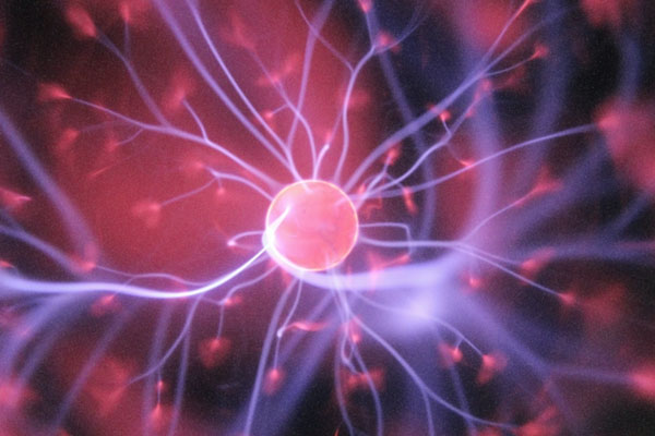 Эксперты рассказали, как поддерживать головной мозг в тонусе | Нейрохирурги Шерзаи: орехи полезны для головного мозга