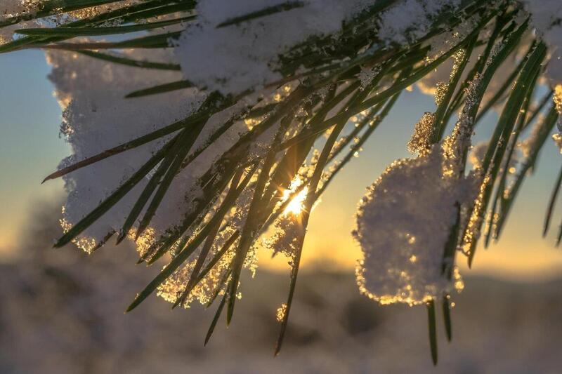 Осадки, ветер и потепление: через Свердловскую область пройдет теплый атмосферный фронт | Синоптик Пулин: на Урале погоду будет определять теплый атмосферный фронт