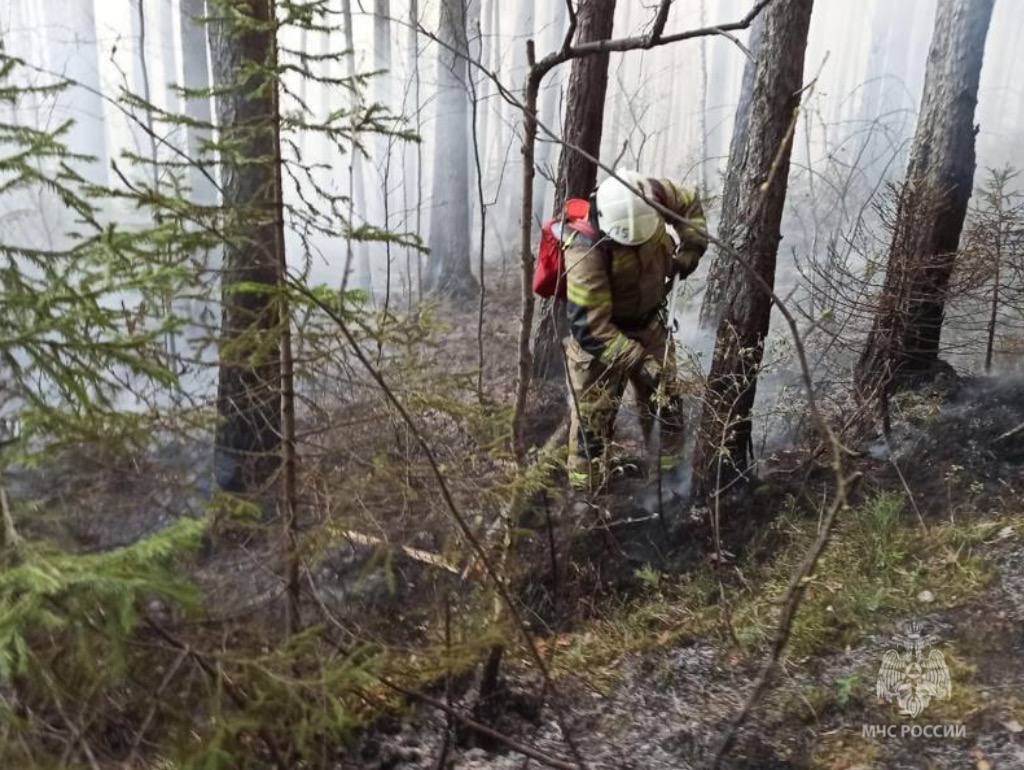 Возле Первоуральска потушили крупный природный пожар Возле Первоуральска потушили крупный природный пожар