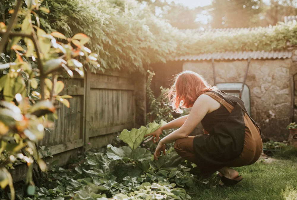 15 лет — и дом ваш: как оформить бесхозную недвижимость по приобретательной давности | Как законно стать владельцем бесхозного дома