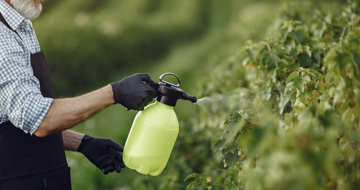 100 мл на 10 л воды — тля исчезнет с участка дружным строем: одной обработки хватит на всё лето