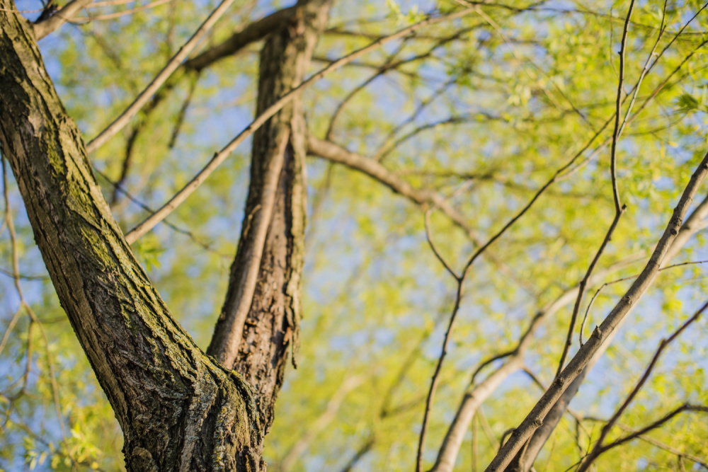 В Первоуральске продолжается масштабная реконструкция «Парка новой культуры» | На Урале полным ходом идет реконструкция «Парка новой культуры»