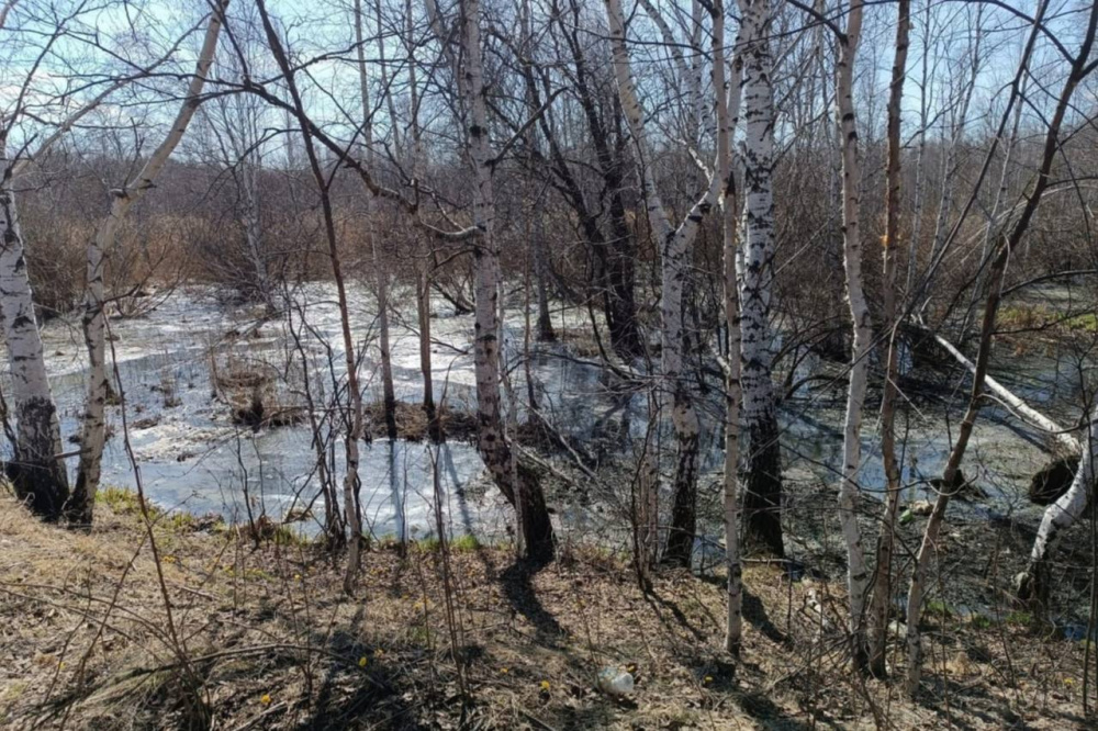 В Первоуральске на улице Рудничная из колодцев не первый год выливается все содержимое | Уральцы пожаловались на то, что около 10 колодцев безостановочно текут в Первоуральске