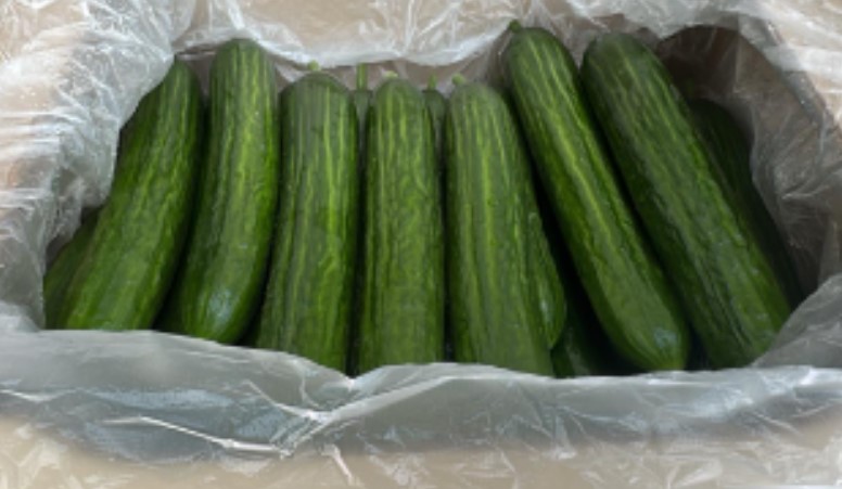 На Урал завезли 390 тонн огурцов из Казахстана: вся продукция прошла контроль Россельхознадзора | В Свердловскую область из Казахстана завезли около 400 тонн огурцов 