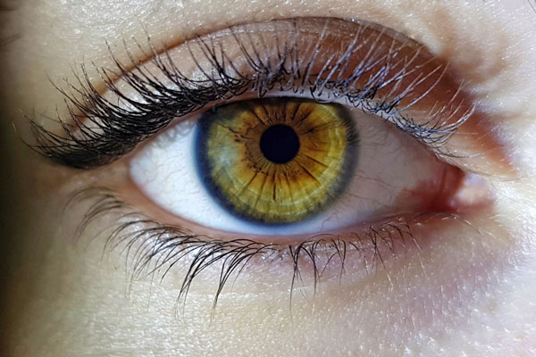 Врач объяснила россиянам, почему необходимо защищать глаза в осенний период | Врач Гаптыкаева: осенью глаза нуждаются в дополнительной защите Врач объяснила россиянам, почему необходимо защищать глаза в осенний период | Врач Гаптыкаева: осенью глаза нуждаются в дополнительной защите