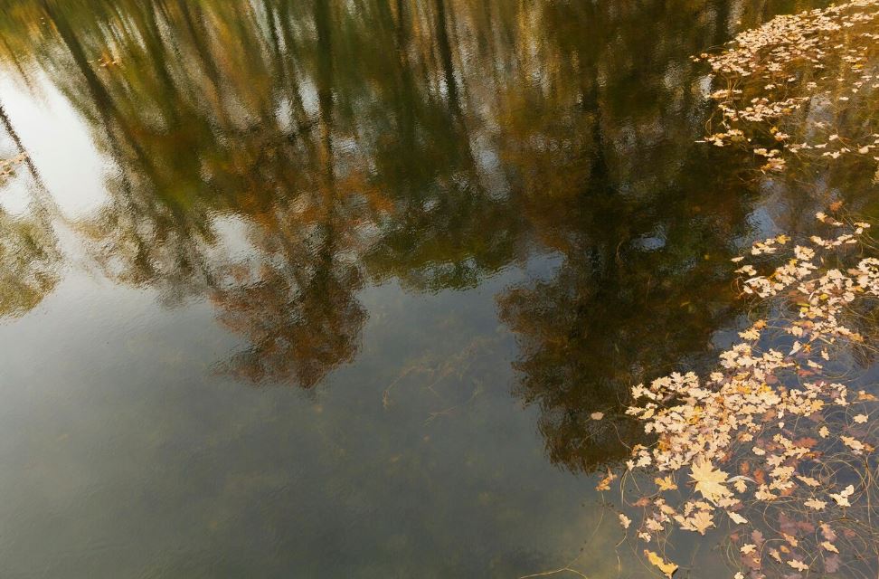 Билимбаевский пруд вошел в список разрешенных для купания водоемов в Свердловской области | На Урале назвали семь пляжей, доступных для купания